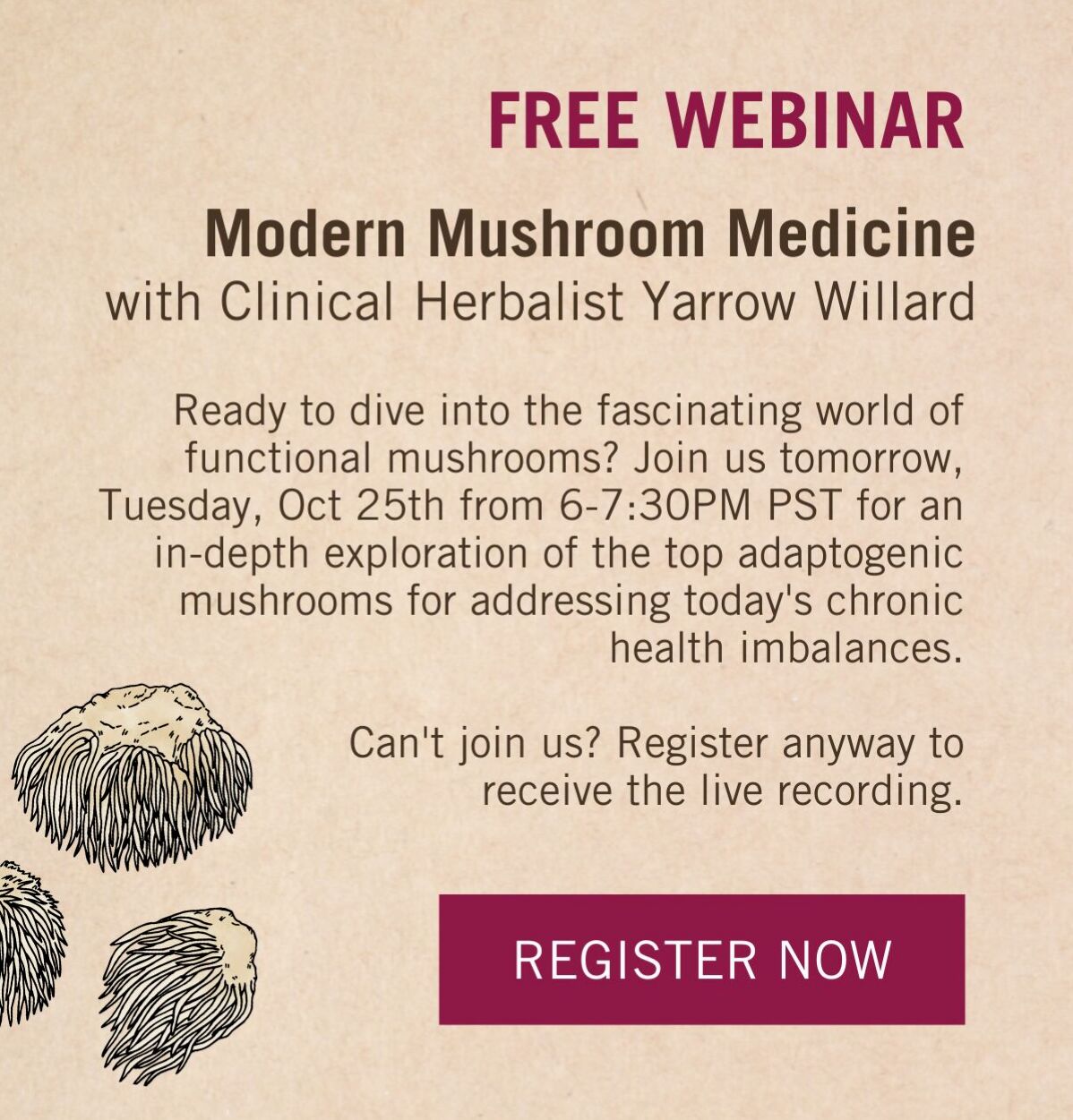 Meet the best mushroom for brain health 🧠🍄 Harmonic Arts