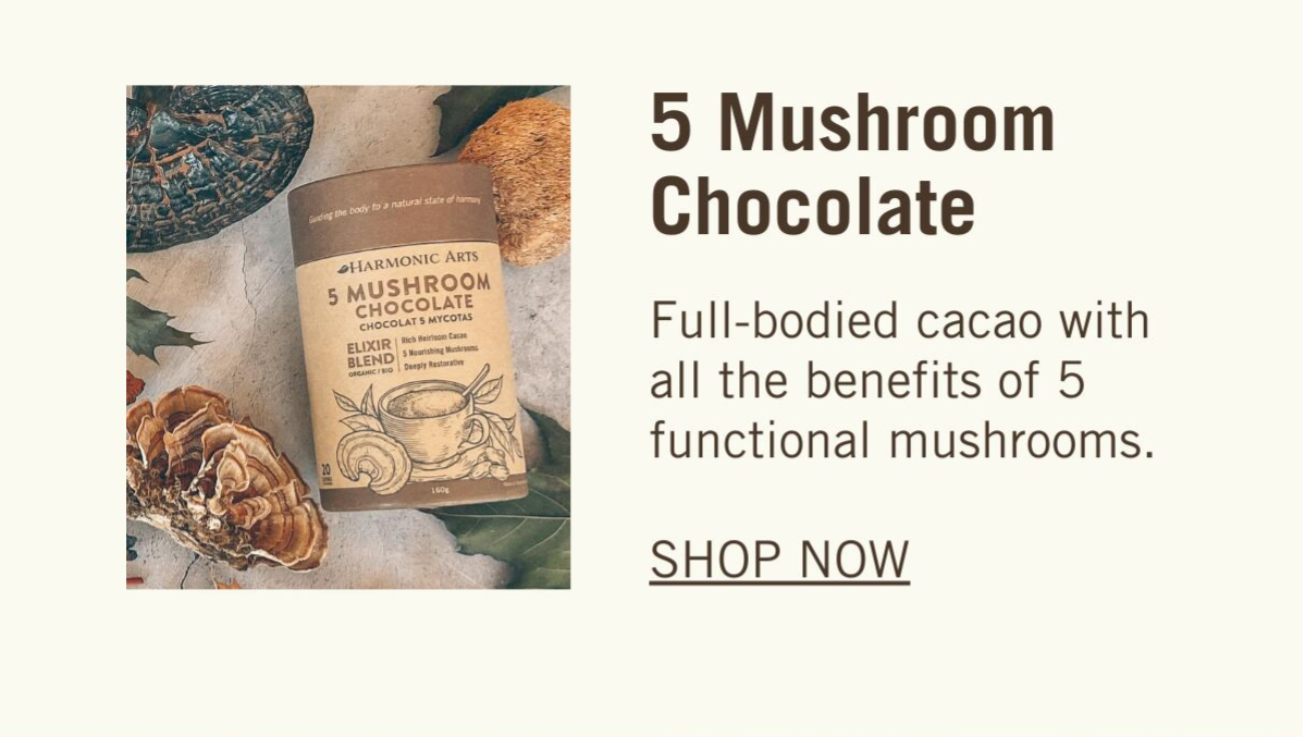 Meet the best mushroom for brain health 🧠🍄 Harmonic Arts