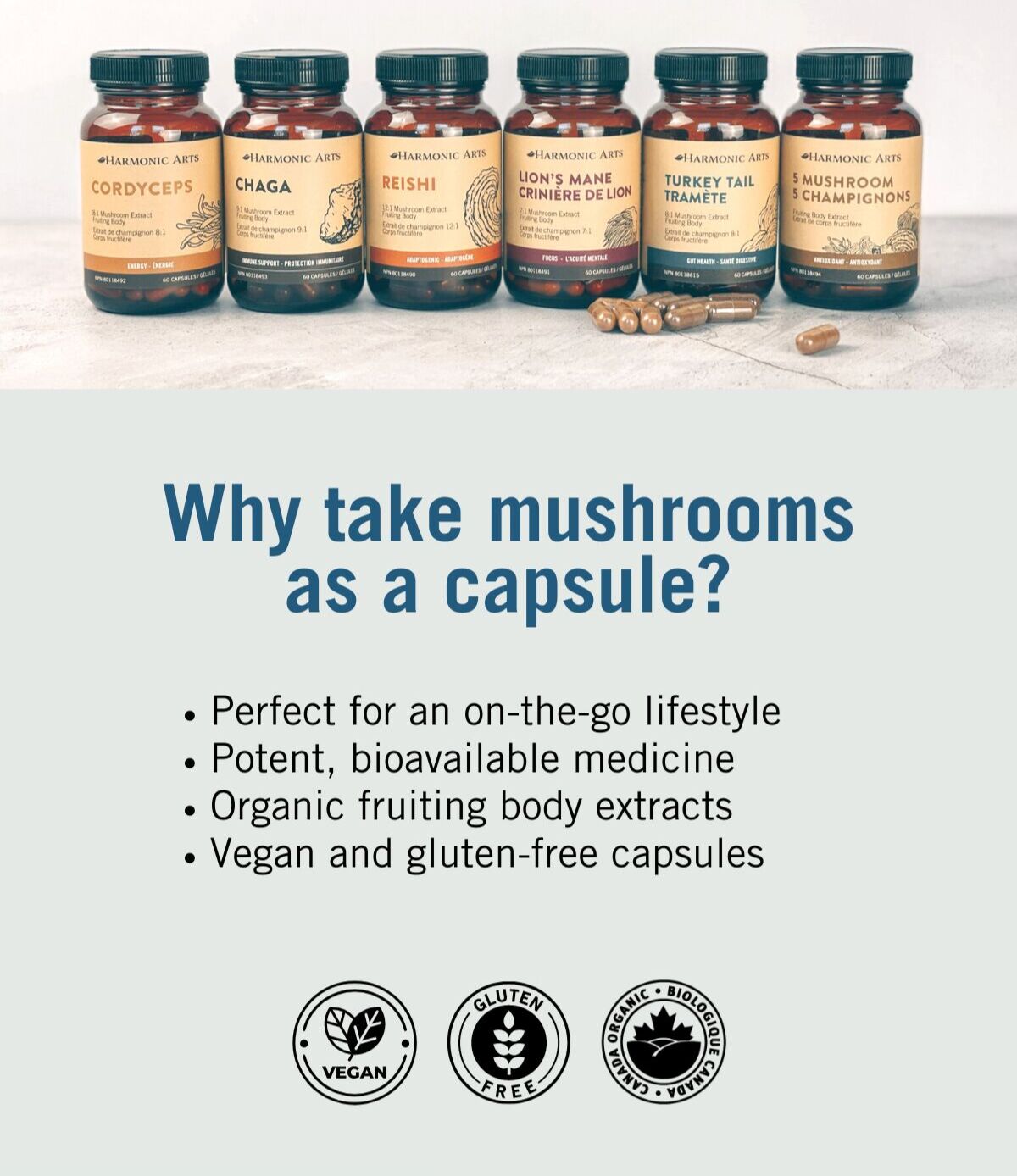 Introducing our new Mushroom Capsules! Harmonic Arts